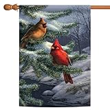 Toland Home Garden Two Cardinals 28 x 40 Inch Decorative Winter Snow Bird House Flag