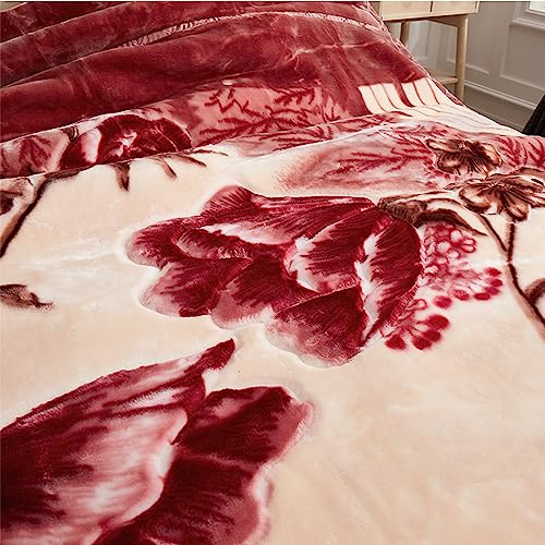 Fleece Blanket Quee King Size,Plush Korean Mink Blanket,4Kg - 2 Plyprinted Heavy Blanket for Winter - Ultra Soft Microfiber Sofa Fleece Blankets,B,180x220cm3Kg(71x87in 6lb)