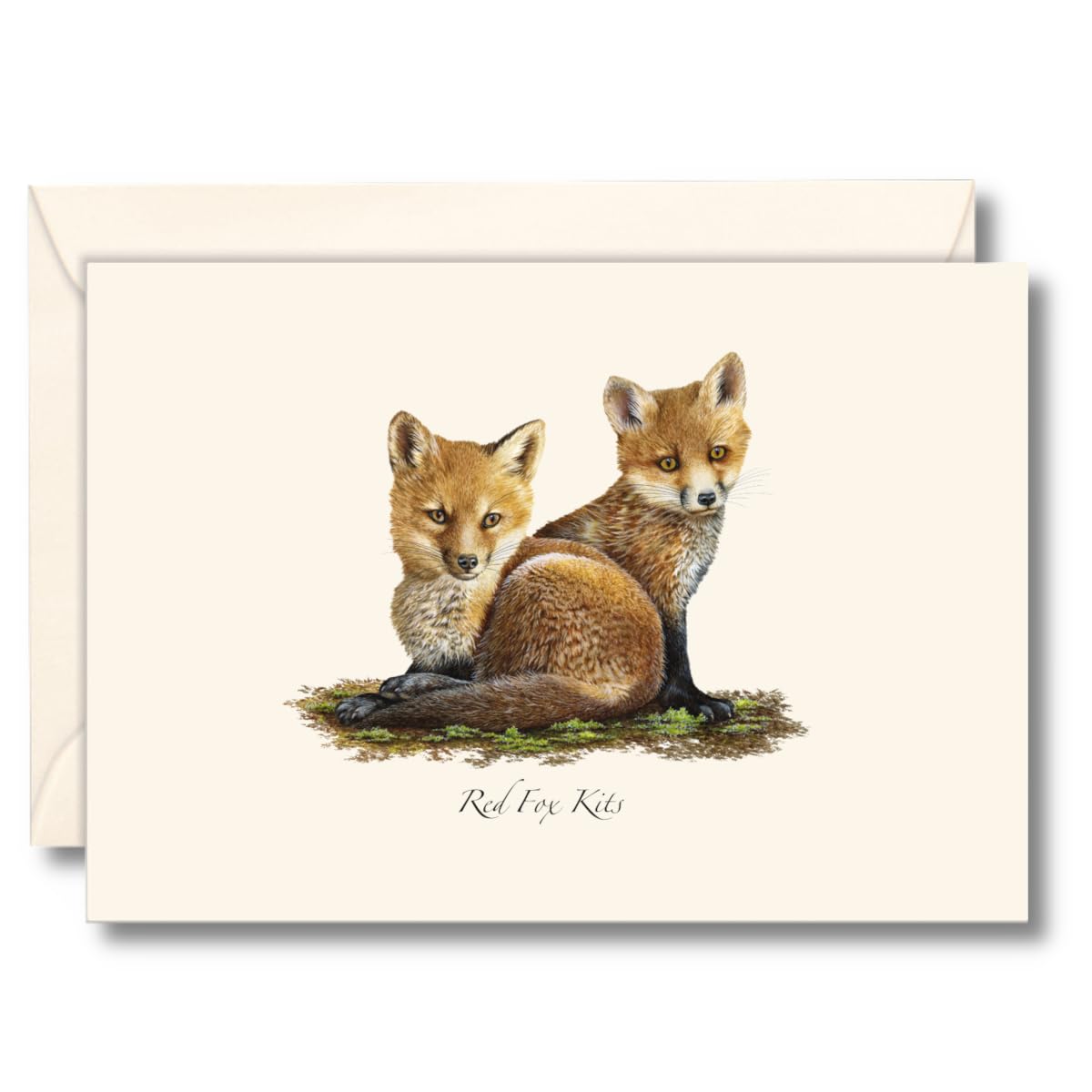 Earth Sky + Water - Red Fox Kits Notecard Set - 8 Blank Cards with Envelopes