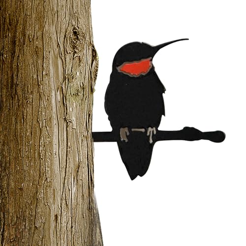 ̃LccL̃c[I[ig | Aȃn`h̋VGbgAA؁AtFXA|[`̎肷p̉OpACAK[fo[hfR[VLccL̒̑gp