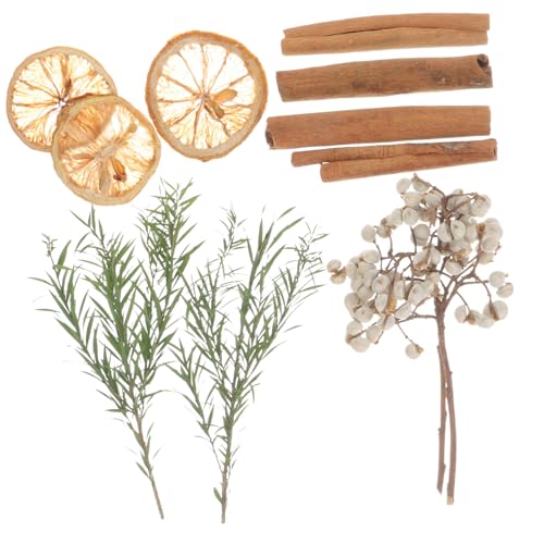 Kit de manualidades flores secas prensadas para decoración
