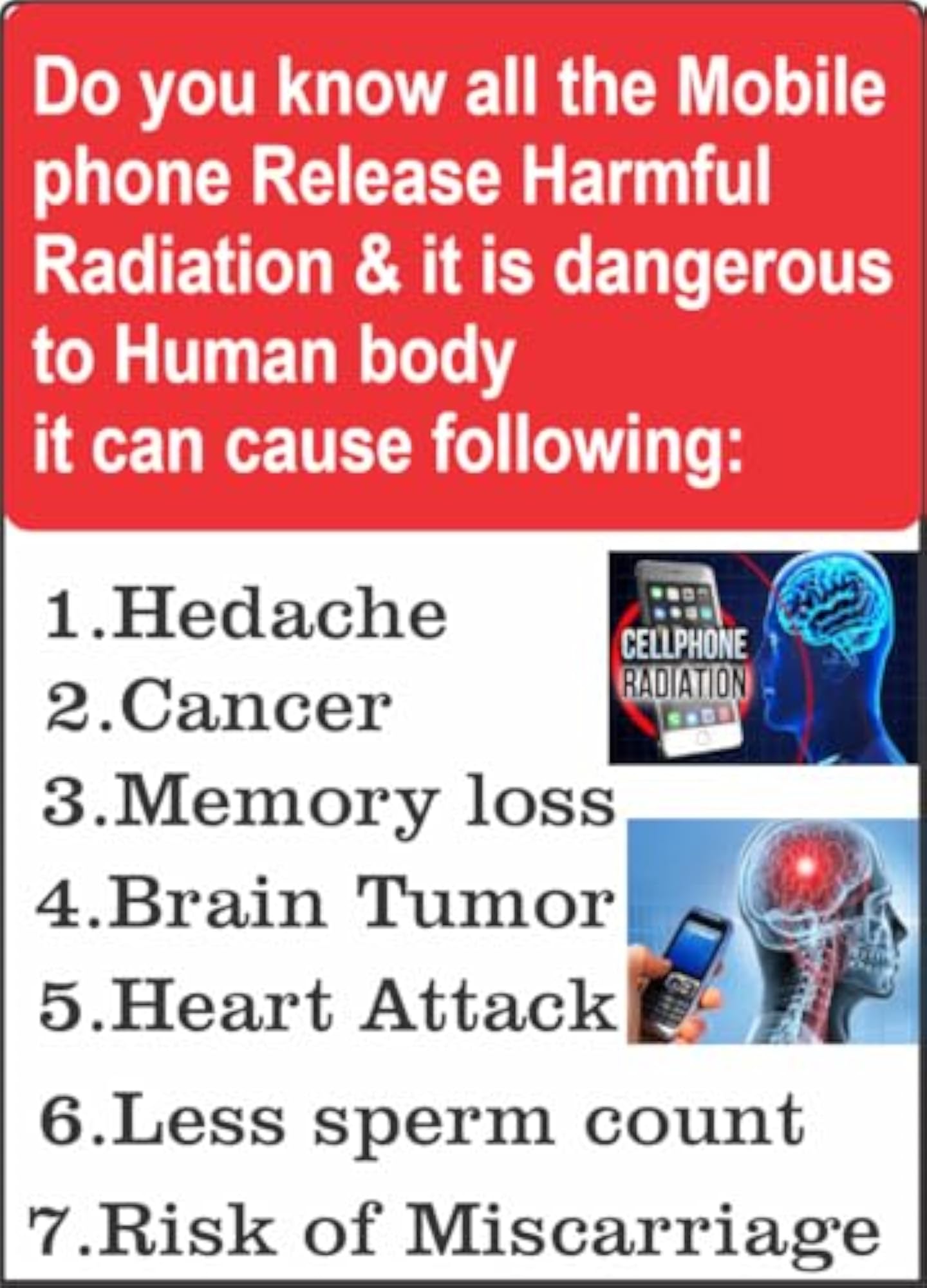 Anti-Radiation Chip (4) Desi Cow Dung