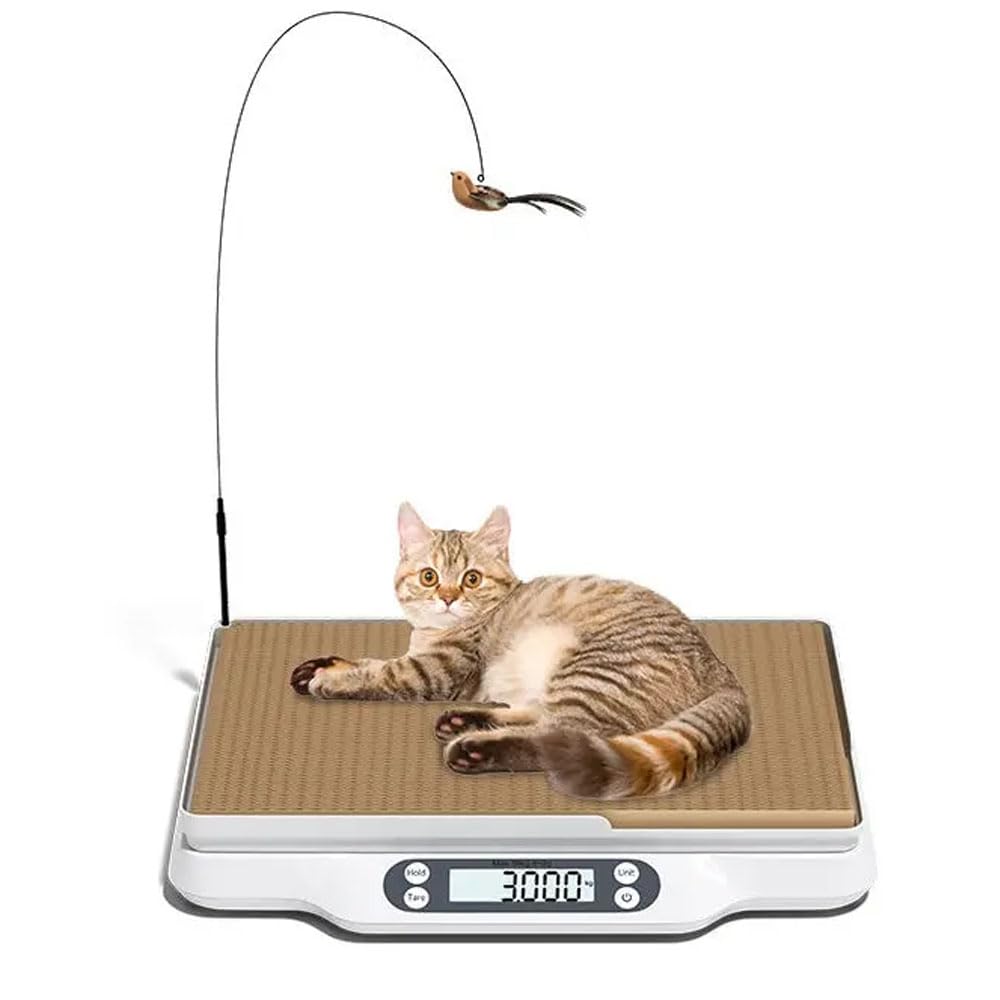 Bilancia per alimenti LCD multifunzione, bilancia digitale per piccoli animali, bilancia per animali domestici con piano per graffiare i gatti, capacità fino a 66 libbre, misurazione accurata, lunghez