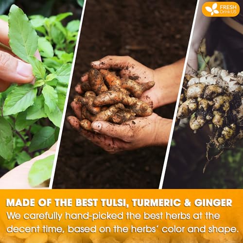 Image of FreshDrinkUS, Premium 75 Tulsi Turmeric Ginger Tea Bags, 100% Natural & Pure from Tulsi Holy Basil Leaves, Turmeric and Ginger. Made with Natural Material Tea Bags. No Sugar, No Caffeine, Vegan.