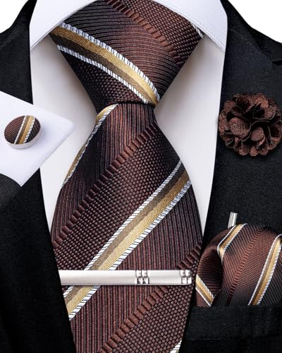 Image of DiBanGu Silk Zipper Ties for Men, Formal Pre-tied Necktie | Adjustable Tie,6PCS,Various Design Styles,Jacquard Woven,Skin-friendly,Practical Gift,Great for Wedding Party,Business Formal