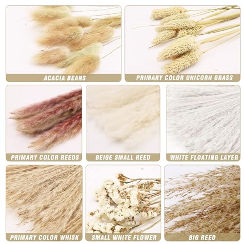 Pampas Grass Large Dried Pampas Grass Natural 70pcs miniatura 3