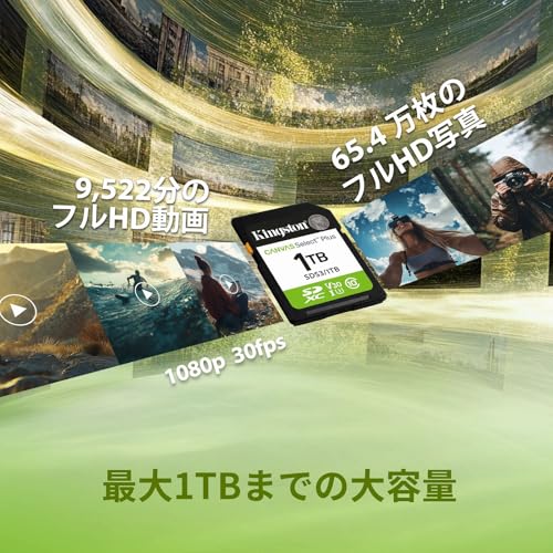 Kingston Canvas Select Plus SDメモリーカード 512GB SDS3/512GB の商品画像 8