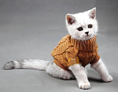 kitten clothes for cats