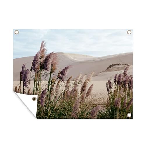 MuchoWow Poster exterieur Herbe de la pampa - Sable - Plantes - Dune Decoration murale 40x30 cm Résistant aux intempéries/soleil