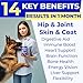 PAWFECTCHEW Fish Oil for Dogs - Natural Omega-3 - Skin & Coat Support - Liquid Food Supplement for Pets - Natural EPA + DHA Fatty Acids for Joints, Immune & Heart Health 16 fl oz