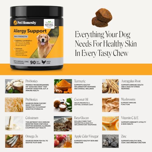 Image of Pet Honesty Max Strength Dog Allergy Chews - Extra Strength Itch Relief - Paw Chewing, Licking & Scratching - Severe Seasonal Allergies Support with Colostrum, Zinc & Mushrooms (Chicken, 90 Ct)