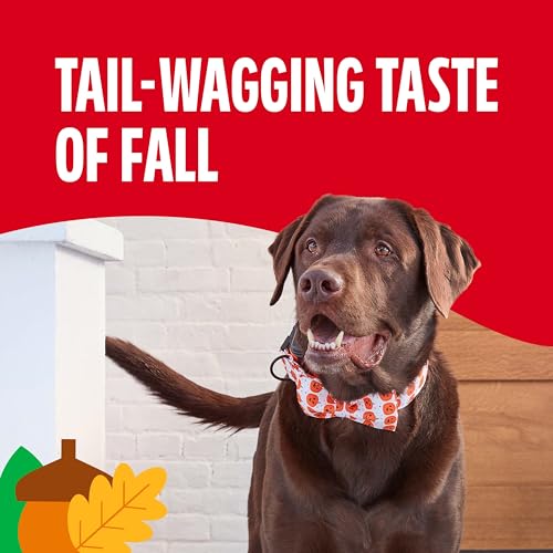 Image of Milk-Bone Pup-kin Spice Biscuits, Pumpkin Spice Artificially Flavored Dog Treats, 8 Oz. Bag