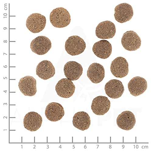 Wolfsblut Vetline Weight Management 12 kg | Trockenfutter bei Übergewicht und/oder Diabetes mellitus