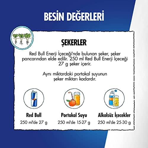 Red Bull Enerji İçeceği 250 ml (1 Paket, 250 ml x 6 Adet) - Görsel 5