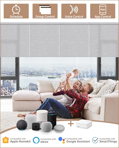 Smart home Alexa hub