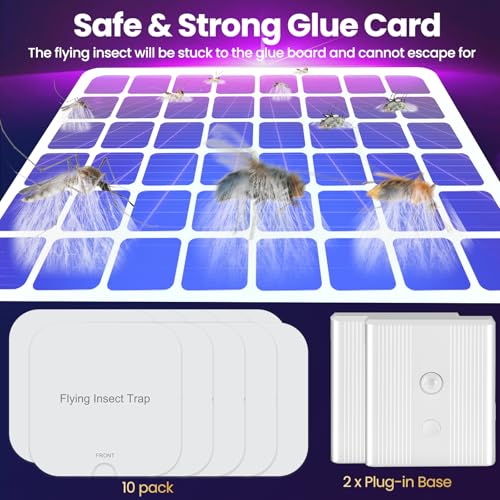 Fly Trap Indoor, 2 in 1 Plug in Fruit Fly Traps for Indoors with Auto Night Light Gnat Traps for House Indoor Flying Insect Trap for Fruit Flies Moths Mosquito (2 Device + 10 Glue Cards) — view 4