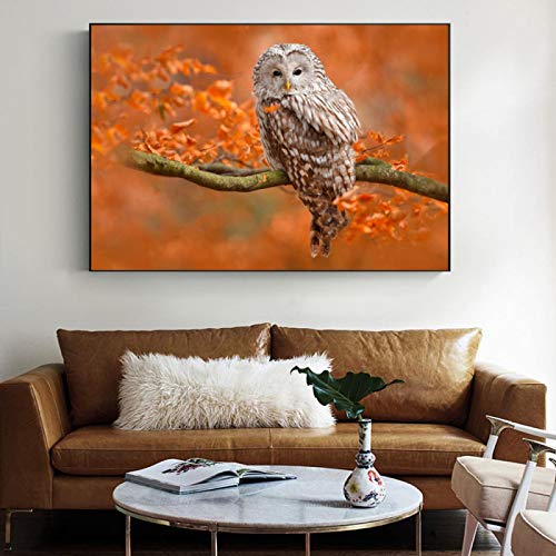 Toile hibou moderne 40x60 cm peinture murale affiche animaux sans cadre pour decoration maison