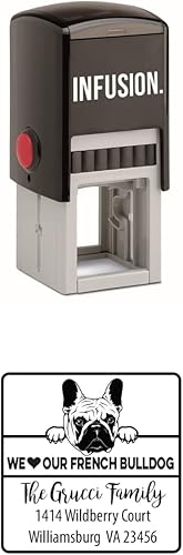 Vista 72 de Infusion Sello de goma cuadrado personalizado para raza de perro (Labrador Retriever)