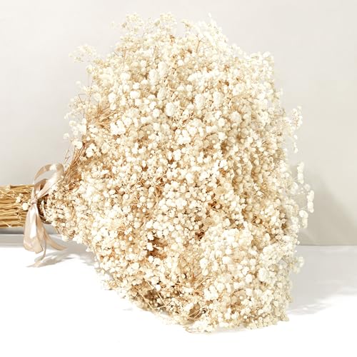 Ramo de flores secas naturales gypsophila paniculata