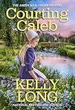 Courting Caleb (The Amish Mail Order Grooms)