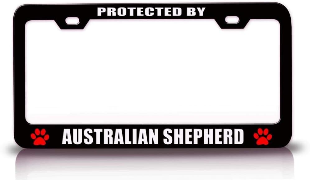 Protected by Australian Shepherd Dogs Metal Car SUV Truck License Plate Frame Bl c77
