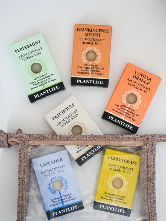 Plantlife Top 6 Travel Soap Set – Holiday Mint - Includes Peppermint, Frankincense Myrrh, Vanilla Orange, Patchouli, Lavender, and Lavender - Made in