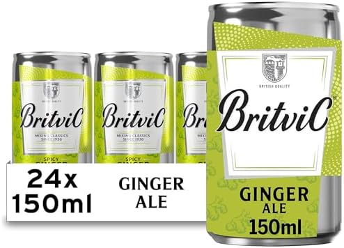 Britvic Ginger Ale 150ml Can | 24 Pack