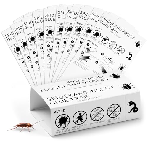 How long can spiders survive without food How long can spiders survive without food