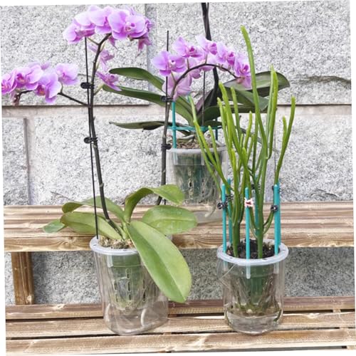 Pot à orchidées transparent avec trous de drainage et soucoupe
