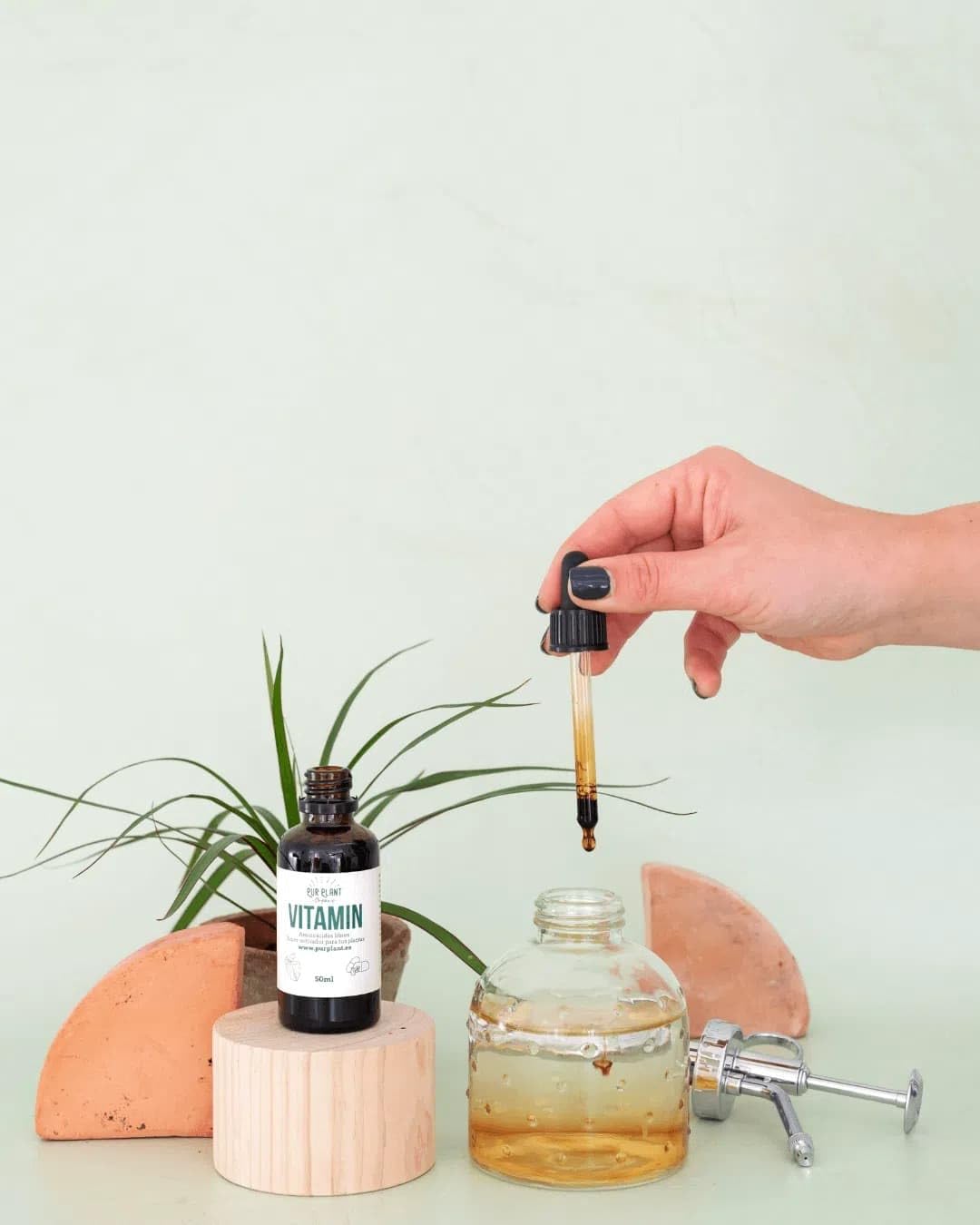 PUR PLANT Vitamin Aminoácidos Libres 50 ml | Superactivador Natural para Plantas | Recuperación y Estimulación Vegetal