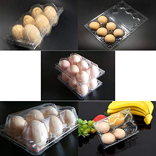 20 PCS 6 Girds Plastic Egg Cartons,Kitchen Plastic Egg Holder,Clear Egg Holder Storage Container for Family Pasture,Chicken Farm Business,Refrigerator Storage Market,Camping and Picnic