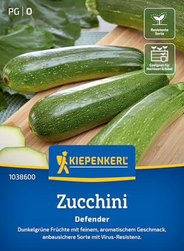 Kiepenkerl Zucchinisamen Defender 1038600 für 6 Pflanzen - Zucchinipflanze für Freiland & Hochbeet - Dunkelgrüne, Zylindrische Früchte - Gemüsesamen für Ertragreiche Ernte