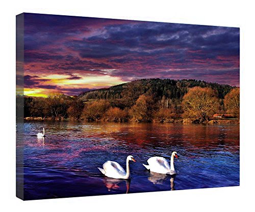 Toile cygnes au coucher du soleil tableau prêt à suspendre cadre bois