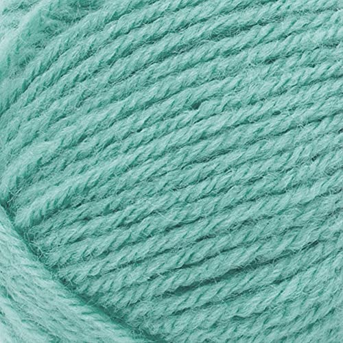 Image of Lion Brand Yarn Wool-Ease Yarn, Worsted-Weight Yarn for Knitting and Crocheting, 1 Pack, Succulent