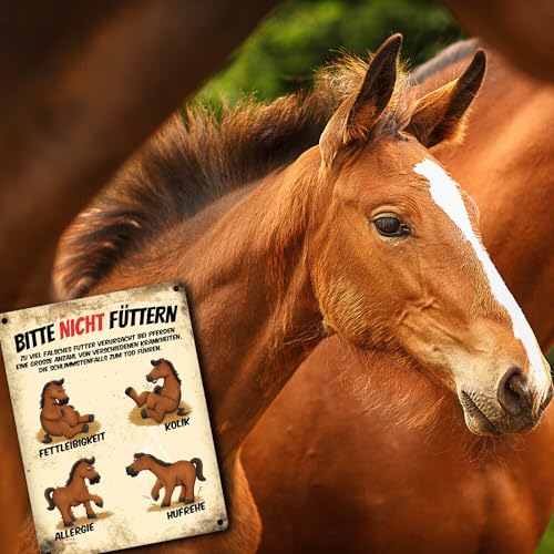 Metallschild mit Pferde Motiv und Spruch: Bitte nicht füttern