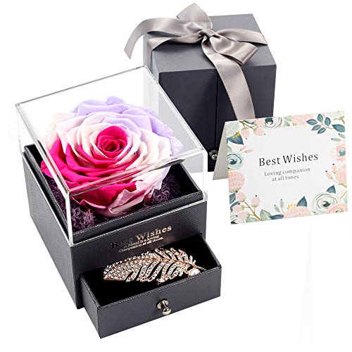 Real Preserved Rose Gift Box for Girlfriend and Wife, Never Withered Rose with Brooch,Immortal Flower, Eternal Forever Rose Her on Valentine's Day,Mother's Day (Colorful Rose Gift Box + Brooch)