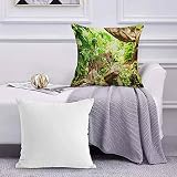 Housse de coussin taies d'oreiller décoratives décor à la maison,Léopard sur la branche dans la savane exotique macro feuilles tropicales jungle nature sauvag, Housse de coussin carrée pour canapé-lit