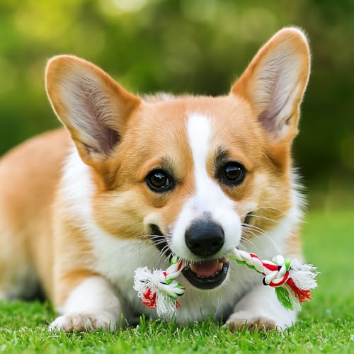 Image of Dog Rope Toys, Puppy Chew Toys for Small Medium Large Breeds, Nature Teething Toy for Dental Health (7 Toys Combo Set)