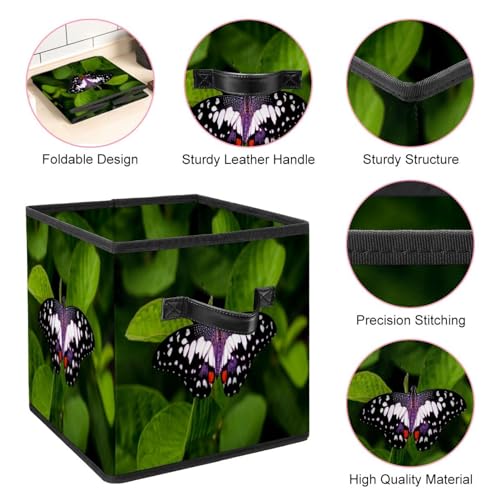 Boîte pliable papillon vert pour placard et chambre à coucher ordonnée - 5