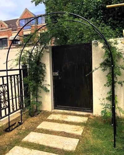 Arche de jardin pour rosiers, solution contre l'affaissement - 5
