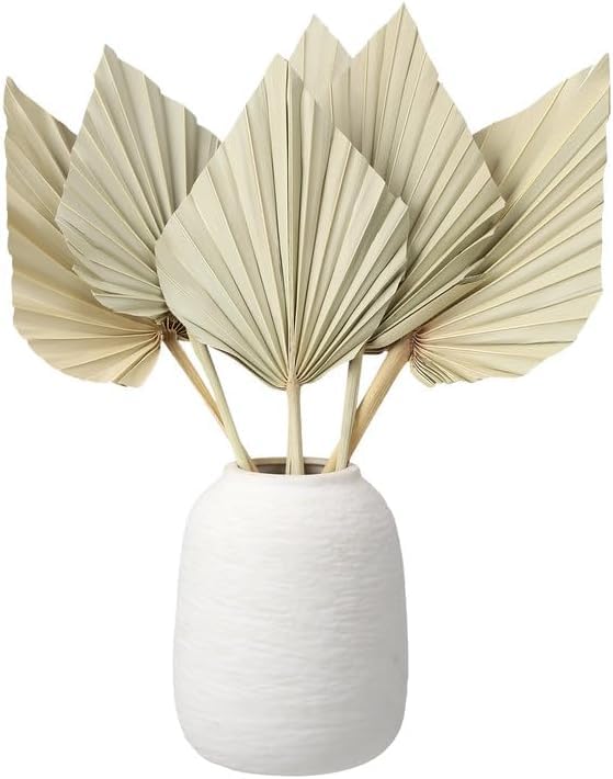 6 Pcs Small Boho Dried Palm Fans,Natural Dried Palm Spears Leaves with Stem Bohemian Dried Flower Bouquet Tropical Palm for Boho Wedding Vase Table Decor-image-25