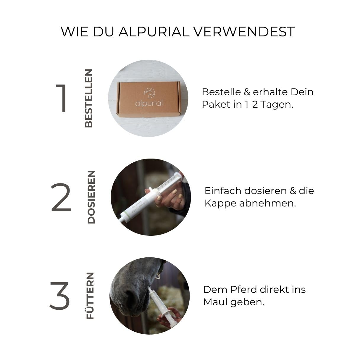 Nerven Booster - Ergänzungsfuttermittel für Pferde - von Tierärzten entwickelt - Paste zur Fütterung vor fordernden Momenten - mit Magnesium, B12 & Ashwagandha - ADMR-konform (3 x 30 ml)