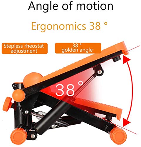 Mini Swing Stepper DIOTTI avec Écran LED pour Exercice de Taille Fine