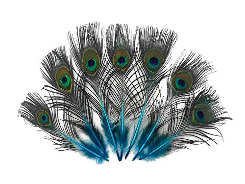 10 Pieces - Turquoise Blue Mini Natural Peacock Tail Body Feathers With Eyes Halloween Costume Craft Supplier | Moonlight Feather #TOP6