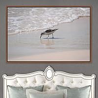 Framed Canvas Wall Art Bird on The Beach Aerial Beach Birds Cool Multicolor Photography Realism Relax/Calm Single - 16x24 inches