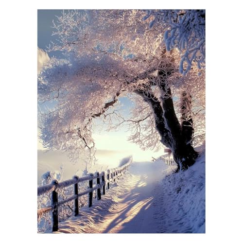 �~ �������G �����h��G ����L�b�g �� DIY �A�[�g�G���|�L�b�g �E�H�[���A�[�g �y�C���g�o�C�i���o�[ �H ���� �L�����o�X �G��Ǐ���55x40 cm �p�L�����r���O���[���Q���̉Ƃ̑��� �a�����v���[���g���� JLYH-8467