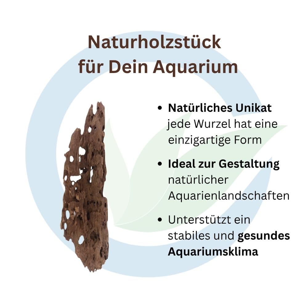 AquaOne Honey Comb Wurzel XL 1 Stück Aquarium Wurzel Mangrove Holz Deko Aquascaping Dekoration Landschaft Moos Natur Echtholz