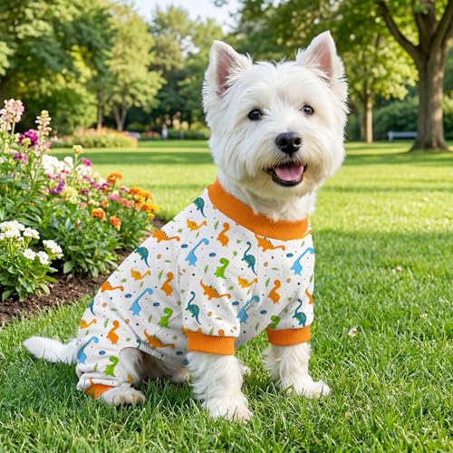 Pijama para perro talla mediana Dinosaurio miniatura 6