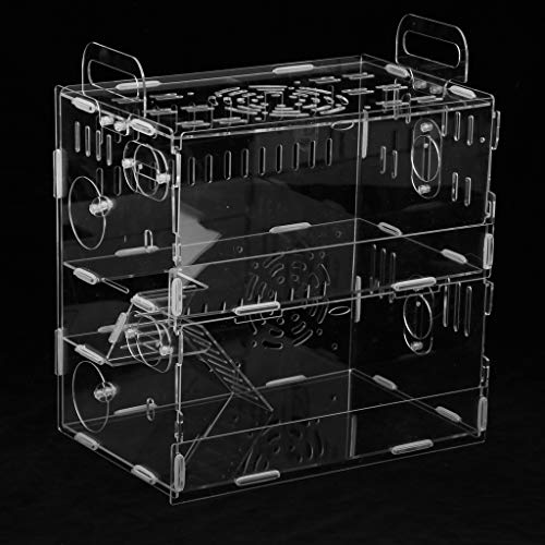 Homozy 61B6F559D77781D17E2B0CDA7E59627F Acrylic Hamster House Mouse Habitat Mice Transparent Cage Small Pet Supplies,Durable thumb #8