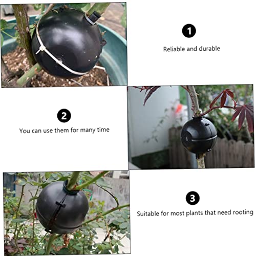 Yardenfun 3Pcs Plant Propagation Box Air Plants Plant Grafting Box Plant Root Growing Box Garden Fertilizers Box Reproduction Equipment For Rose Reproduction Equipment For Tree Fruit Plastic Airplants #TOP6